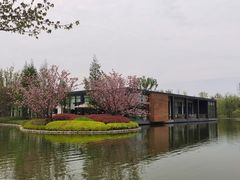 -窗外西餐厅(普罗理想国店)