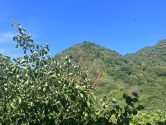 -大岭沟猕猴桃谷风景区