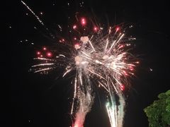 -广东花都香草世界旅游度假区