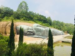 -三水森林公园