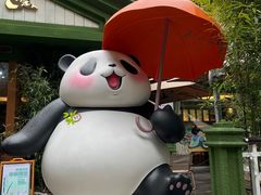 -轩客会(熊猫书店)