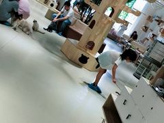 -藏猫猫咖啡主题馆(中央大道店)