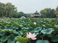 -莲池书院博物馆