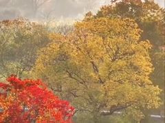-塔川景区