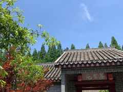 -金岛生态园烧烤露营地