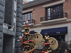 -巷子宽·酸菜鱼(迪士尼小镇店)