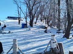 -中旅松花湖滑雪场