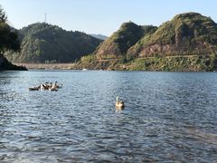 -洪江古商城