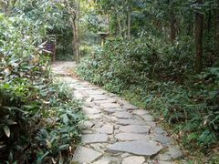 景点-浙北大峡谷