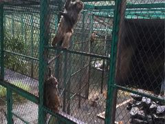 -藏龙百瀑风景区