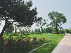 -圣露庄园·露营·烤肉·亲子