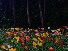 -名羊天下陕北横山铁锅炖羊肉(博文路店)