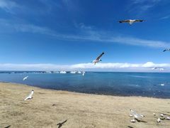 -青海湖二郎剑景区