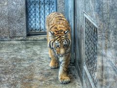 -西安秦岭野生动物园