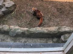 -南昌动物园