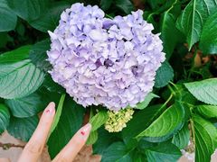 -诗经里