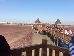 -红海滩国家风景廊道