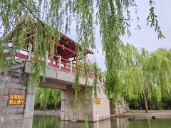-洛阳市隋唐城遗址植物园