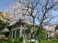 -浙江西子宾馆·瑶园咖啡厅