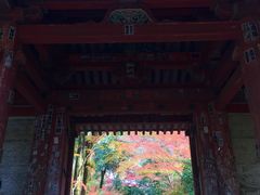 -醍醐寺