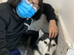 -Husky Go!哈士奇体验馆·宠物咖啡厅狗咖