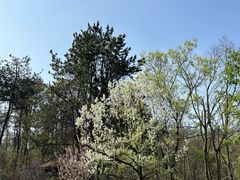 -青龙山国家森林公园
