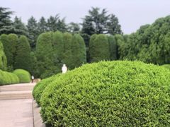 -宋庆龄陵园