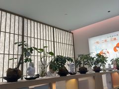 -长风拨筋养身(金虹桥店)