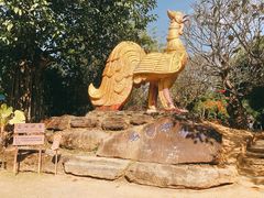 -云南勐巴娜西珍奇园