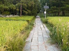 -北坞公园
