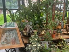-北马山庄植趣咖啡