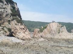 -花岙岛
