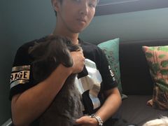 -藦茜花园宠物主题亲子互动体验馆(国顺东路店)