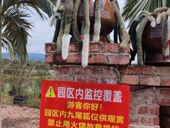 -一寨两国风景区