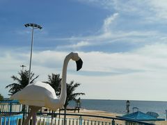 -启东恒大酒店·吕四渔号海鲜餐厅