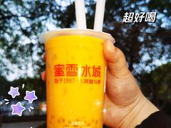 -蜜雪冰城·冰淇淋与茶(长郡中学店)