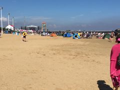 -碧海金沙