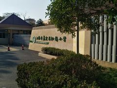 -上海市嘉定区江桥小学