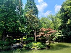 -杭州植物园