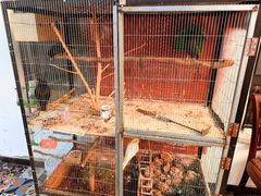 -北京龙庆四季香农家饭庄·灶台鱼·碳烤虹鳟鱼(龙庆峡店)