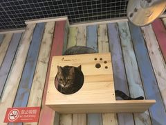 -小时光咖啡馆(开森度假森林店)