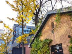 -西安电影制片厂