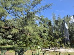 -北海金海湾红树林生态旅游区