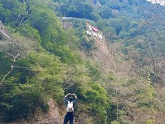 -龙湾潭国家森林公园