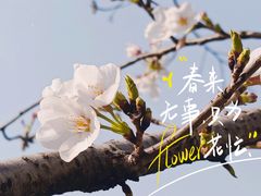 -西北湖绿化广场