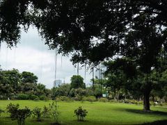 -南宁南湖公园