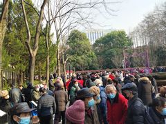 -人民公园-相亲角