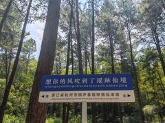 -瑶琳仙境