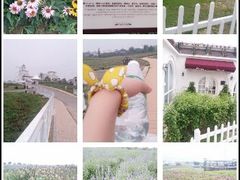 -紫颐香薰山谷景区