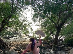 -宝安西湾红树林湿地公园